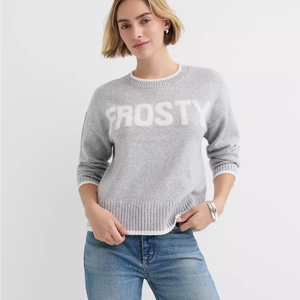 LOFT Frosty Everyday Graphic Knit Sweater